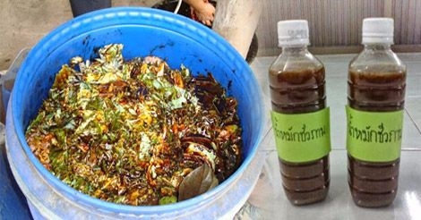 น้ำหมักชีวภาพ