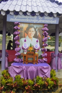 อ่านข่าวต่อ....