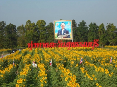 อ่านข่าวต่อ....